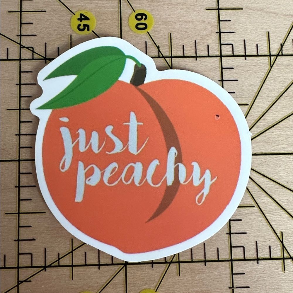 💜13/$13 +Bundle Sticker Sale| Just Peachy Orange Fruit Waterproof Sticker